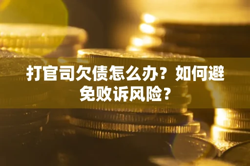 北京打官司欠债怎么办？如何避免败诉风险？