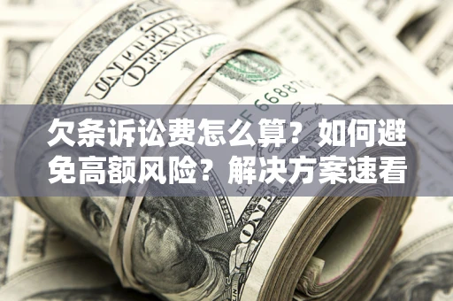 北京欠条诉讼费怎么算？如何避免高额风险？解决方案速看！