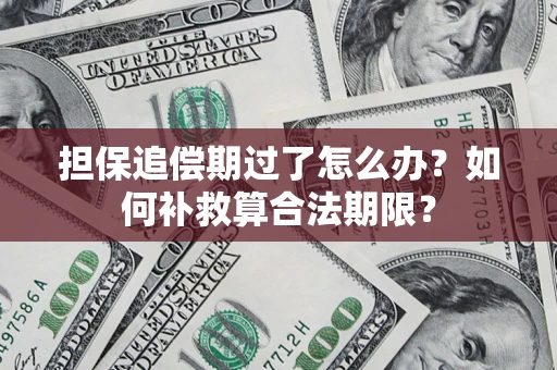 北京担保追偿期过了怎么办？如何补救算合法期限？